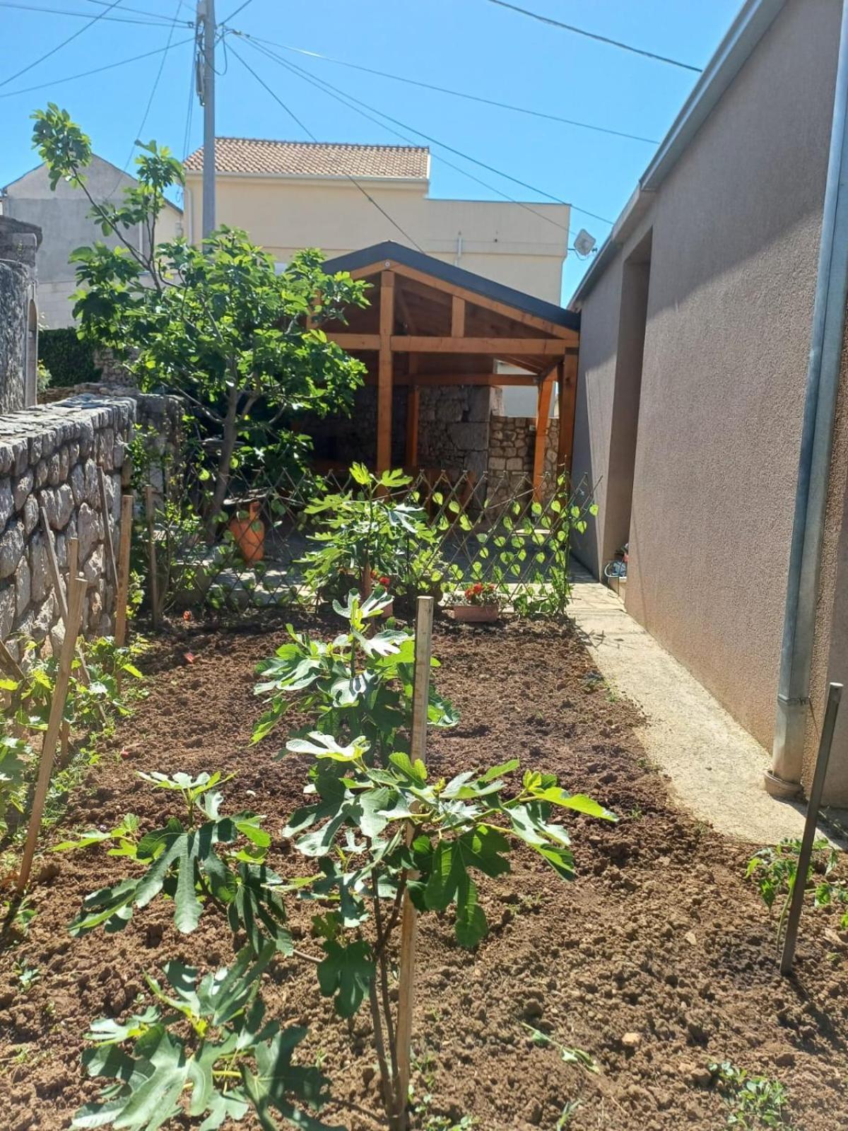 Apartmani Afrodita Crikvenica Buitenkant foto