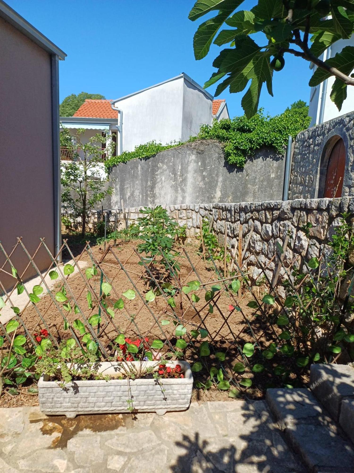 Apartmani Afrodita Crikvenica Buitenkant foto